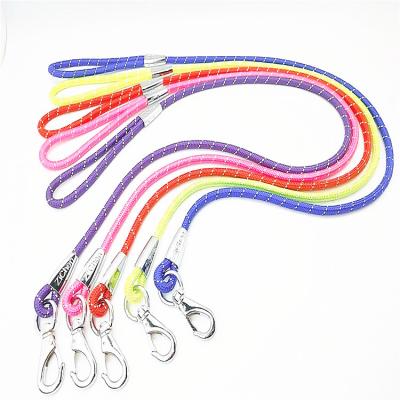 China Pet Viable Leashes Simple Design Dog Rope Nylon Round Dog Leash With Sturdy Clasp for sale