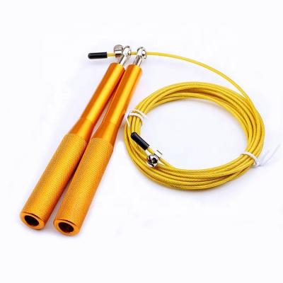 China Wholesale Plastic High Quality PVC Coated Steel Wire Rope Jumping Jump Rope For Fitness Equipment for sale