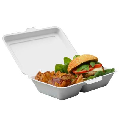 China Cater 2 Compartments Bagasse Pulp Clamshell Container Home Disposable Food Party Supplies Take Out Box for sale