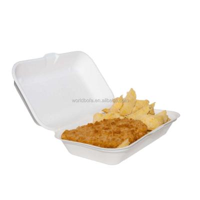 China Eco-friendly Disposable Sugar Cane Bagasse Food Container 6x9 Non-compartment Packing Box for sale