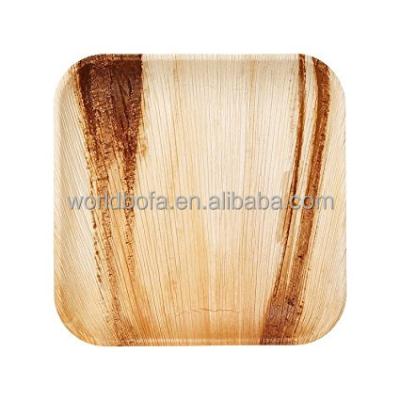 China Frondware 10inch Disposable Palm Leaf Wooden Square Plates Tableware Packed in 25pcs Dinner Plate for sale