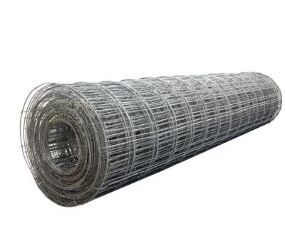 China Galvanized Welded Wire Mesh Galvanized PVC Coated Welded Wire Mesh Farm Fence Galvanized Garden Fence for sale