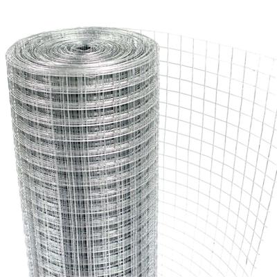 China Corrosion Resistance Galvanized Welded Wire Mesh Roll Welded Welded Mesh Wire Netting for sale