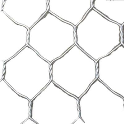 China Fence Mesh Chicken Wire Netting Hexagonal Wire Netting Poultry Mesh for sale