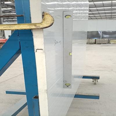 China 1000mm Polyurethane Cold Storage Meat PIR Sandwich Panel for sale