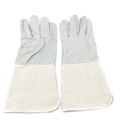 China Anti-smash new design cow leather gloves with hot canvas seam protection safety for sale