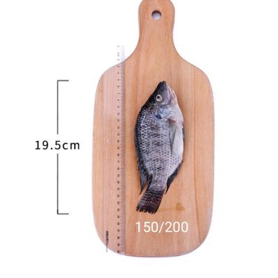 Китай Eastline Tilapia Sea Fish Tilapia Poisson Prix Trans-Fat Free, Low-Fat, nature Oreochromis Niloticus Tilapia Peixe продается