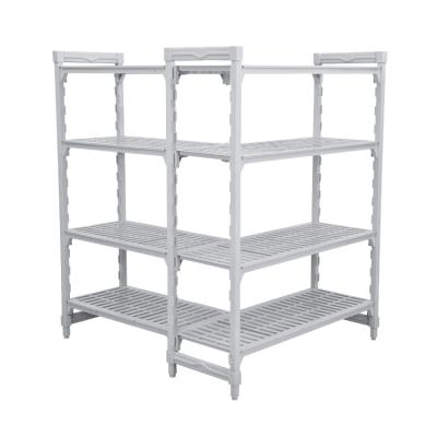 China Eco-friendly easy to adjust and configure Environmental Plastic Cold Room Food Storage Shelving Shelf for sale