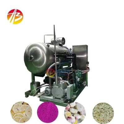 China Food Beverage Industry Vacuum Freeze Drying Machinery for Fruit Vegetable Seafood for sale