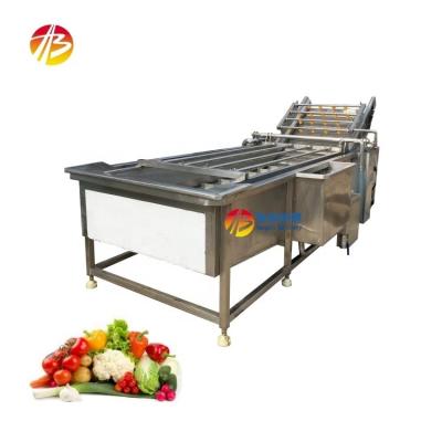 China Manufacturing Plant 304 Stainless Steel Fruit And Vegetable Washing Machine for sale