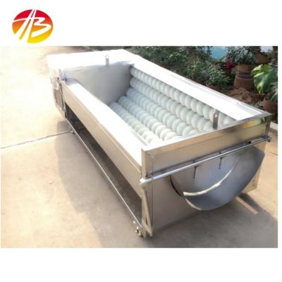 China Commercial Onion Cassava Turmeric Radish Taro Potato Washing and Peeling Machine for Busy for sale