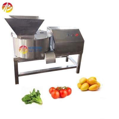 China Commercial Fruit and Vegetable Crusher Machine for High Volume Production for sale