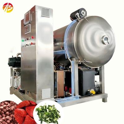 China Fruit And Vegetable Vacuum Freeze Dryer Machine With 21 Square Meters Pallet Area for sale