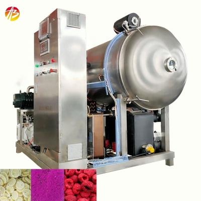 China Industrial Freeze Dryer for Seafood Beef Fruit Coffee Sugar Candy Meat Fish and Vegetables for sale