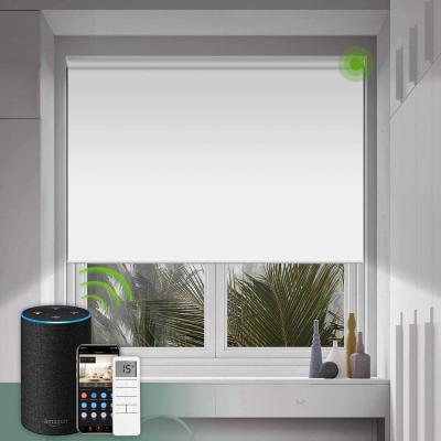 China Sunscreen Environmental Fabric Electric Roller Blinds With Smart Home Wifi Control for sale