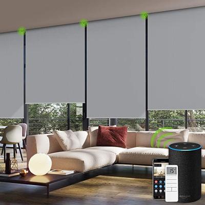 China Environmental European Adjustable Easy Fix Blackout Roller Blind Chain Operate Roller Blinds for sale