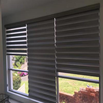 China Manual Double Layer Zebra Blinds Day And Night Environmental Indoor Window Shade Shade Double Roller Blinds for sale