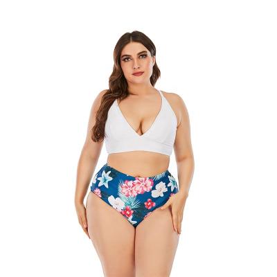 China New 2022 summer breathable bikini plus size women sexy V-neck print beach swimwear for sale