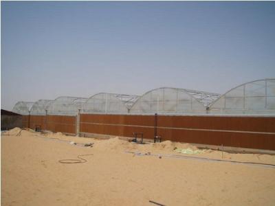 China NorthHusbandry machinery poultry equipment in Saudi Arabia for sale