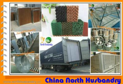 China 2013 New Design Hot-Sale Chicken Farm Poultry Equipment for Sale for sale