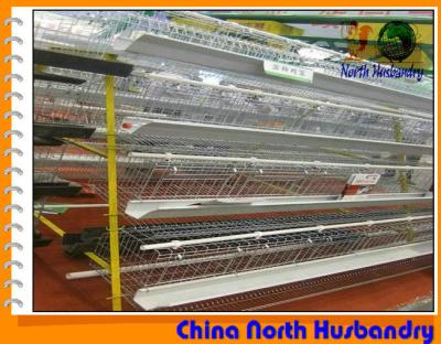 China Poultry Cage, Poultry Cage Products, Poultry Cage Suppliers for sale