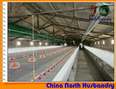 China Breeder Cage System of Poultry Cages - Poultry Farm for sale