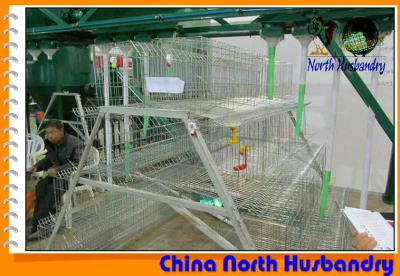 China Poultry production | Egg production in poultry cages | Big Dutchman for sale