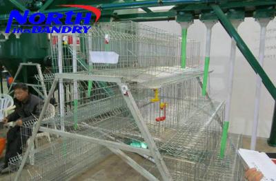 China cold galvanzied pullet choop for sale for sale