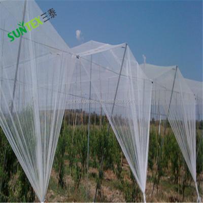 China Agricultural vegetable anti hail net for apple tree plastic HDPE net UV stabilized 3-5 years anti hail net for sale