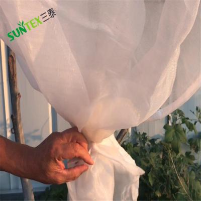 China Protect your plants 2*2m White Anti Insect Net Bag Tree Cover,HDPE Plastic Pest Fly Inset Net Protection For Trees for sale