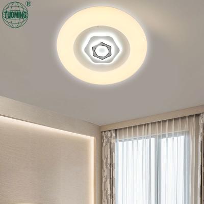 China Surface Mounted Modern Nordic Style Decorative Living Room Bedroom Acrylic Iron Led Ceiling Lights for sale