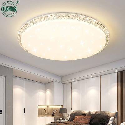 China Hot Sale Modern Creative Flush Mount Lighting Fixtures Outdoor Indoor Decorative Surface Mounted Led Ceiling Lights for sale