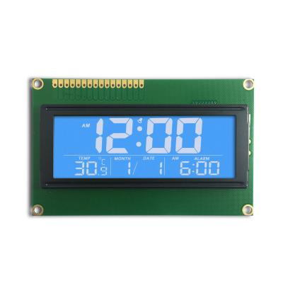 China Custom 98*60*13.7 Character Positive Graphic Segment 20x4 STN Transflective Y-G Backlight Monochromatic 2004 LCD Display Module for sale