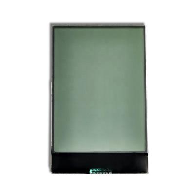 China Segment LCD Display Monochrome Customized LCD Module FSTN LCD Module COG for sale