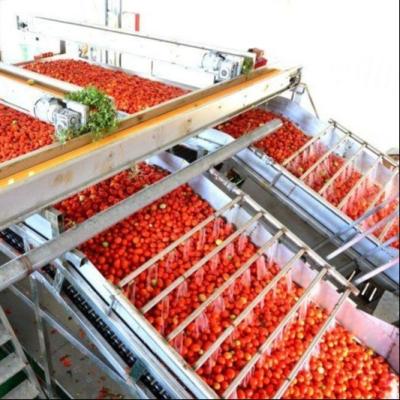 China Multifunctional Canning Production Line For Tinned Tomatoes From Leadworld Industrial for sale