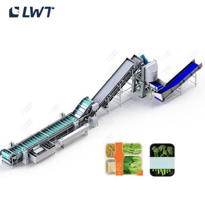 China 2.5T/H Fresh Cut Vegetable Processing Line Vegetable Washing Equipment for sale