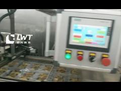 Vacuum Packaging Production Line Thermoforming Vacuum Packaging Machine