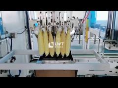 Salad dressing packing machine