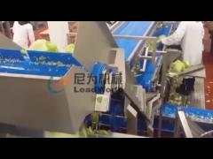 2.5T/H Fresh Cut Vegetable Processing Line