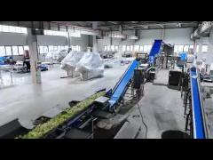 Spinach quick freezing line Fruit and vegetable quick freezing processing equipment