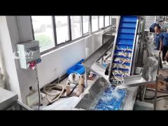 Head And Tail Trimming Machine For Canned Fish Production Line
