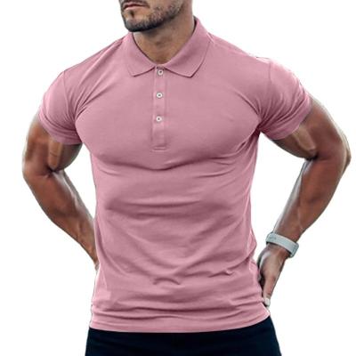 China High Quality Embroidery Plain Wholesale QUICK DRY Custom Color Logo T-shirt Polo Shirt Men's Polo Shirt for sale