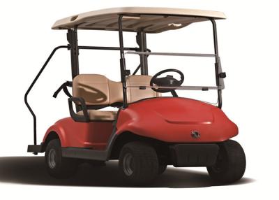 China Small 2 Seater Electric Golf Buggy , Street Legal Electric Cars For Personal Transport for sale