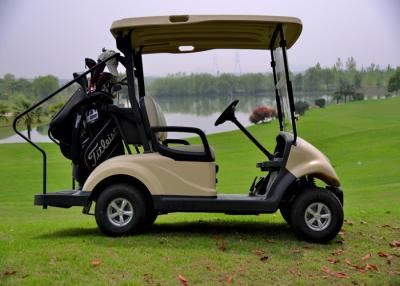 China Energy Saving Mini Electric Motor Golf Cart Two Seater With Battery Operated for sale