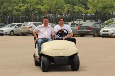 China Two Seater Pure Electric Power Golf Electric Buggy 3KW Motor With Plastic Bodywork for sale