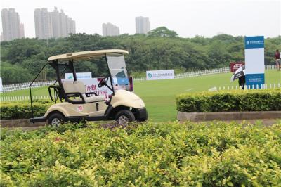 China 3KW carros de golf eléctricos legales de la calle del motor de la CA KDS con el control fácil de 2 Seater en venta