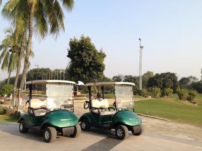 China High End Two Passenger Electric Cars Golf Carts Maximum Speed 30km/h for sale