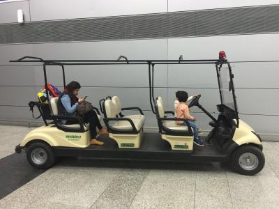 Cina Passeggero del carretto di golf del veicolo elettrico 6, multi carretti di golf del passeggero per il club in vendita