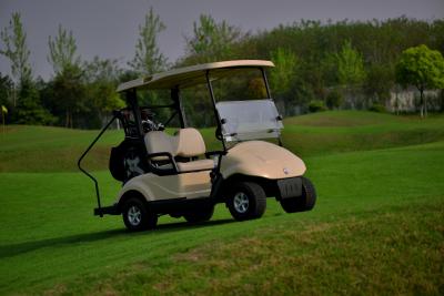 中国 注文の電気2つの乗りのゴルフ カート/ゴルフ法的おかしなクラブ車の通り 販売のため