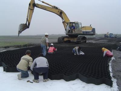 China 50mm-200mm height HDPE Geo geocell driveway soil stablization for sale